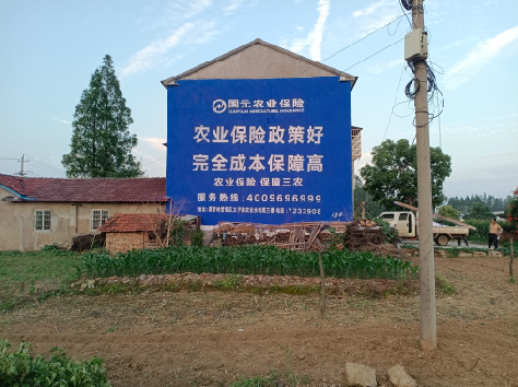 丽江墙体广告为何受追捧？